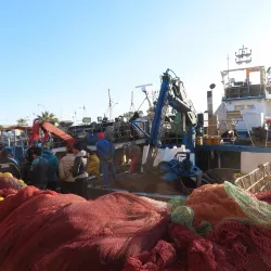 Local Fishing Harbor - Sahline