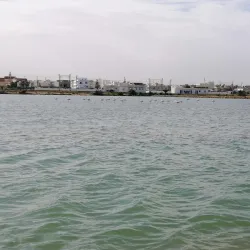 Sahline Salt Marshes - Sahline