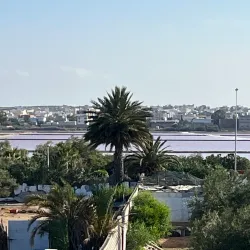 Sahline Salt Marshes - Sahline