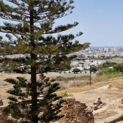 Carthage National Museum (nearby) - Sidi Bou Said