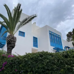 Dar Ennejma Ezzahra - Sidi Bou Said