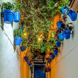 Sidi Bou Said Art Galleries - Sidi Bou Said