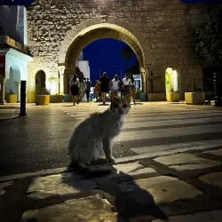 Port El Kantaoui - Sousse
