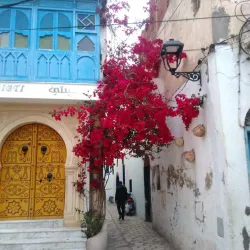 Sousse Medina - Sousse