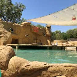 Sousse Zoo - Sousse