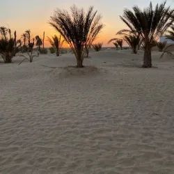 Sahara Desert Excursions - Tataouine (Tatawin)