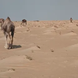 Sahara Desert Excursions - Tataouine (Tatawin)