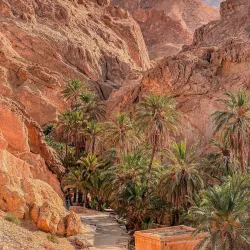 Sahara Desert Excursions - Tataouine (Tatawin)