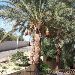 Sahara Desert Excursions - Tataouine (Tatawin)