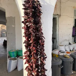 Tataouine Market - Tataouine (Tatawin)