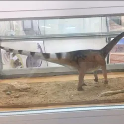 Tataouine Museum - Tataouine (Tatawin)