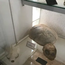 Tataouine Museum - Tataouine (Tatawin)