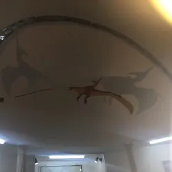 Tataouine Museum - Tataouine (Tatawin)