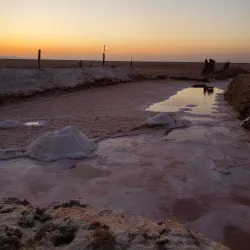 Chott El Jerid - Tozeur