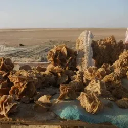 Chott El Jerid - Tozeur