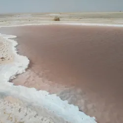 Chott El Jerid - Tozeur