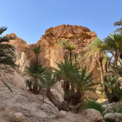 Mountain Oasis of Chebika - Tozeur