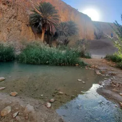 Mountain Oasis of Chebika - Tozeur