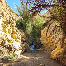 Mountain Oasis of Chebika - Tozeur