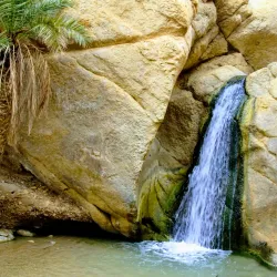 Mountain Oasis of Chebika - Tozeur