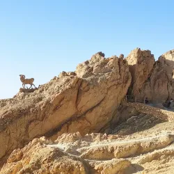 Mountain Oasis of Chebika - Tozeur