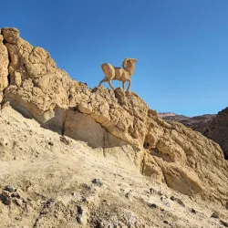 Mountain Oasis of Chebika - Tozeur