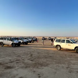 Ong Jemel (Camel's Neck) Rock Formation - Tozeur