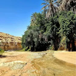 Tamerza Oasis and Waterfalls - Tozeur