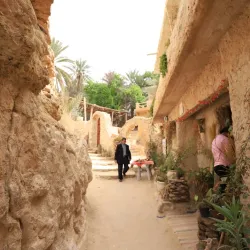 Tamerza Oasis and Waterfalls - Tozeur