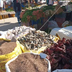 Tozeur Date Market - Tozeur