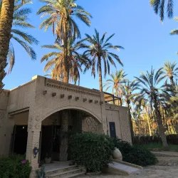 Tozeur Palm Groves - Tozeur