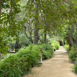 Tozeur Palm Groves - Tozeur