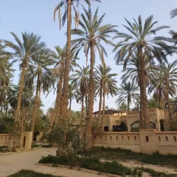 Tozeur Palm Groves - Tozeur