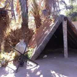 Tozeur Palm Groves - Tozeur