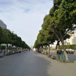 Avenue Habib Bourguiba - Tunis
