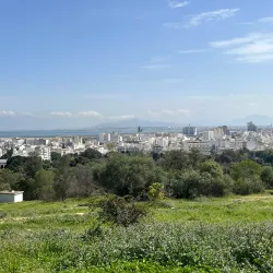 Belvedere Park - Tunis