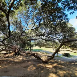 Belvedere Park - Tunis