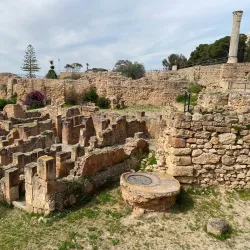 Carthage Archaeological Site - Tunis