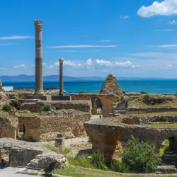 Carthage Archaeological Site - Tunis