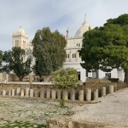 Carthage Archaeological Site - Tunis