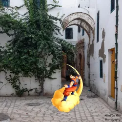 Medina of Tunis - Tunis