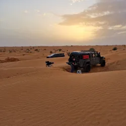 Bird Watching Sites - Wadi Al Layl