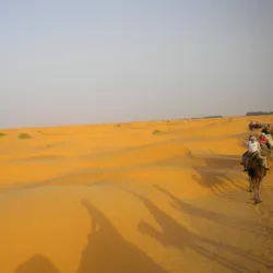 Bird Watching Sites - Wadi Al Layl