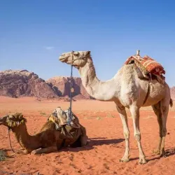 Bird Watching Sites - Wadi Al Layl