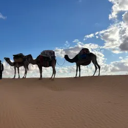 Hiking Trails of Wadi Al Layl - Wadi Al Layl