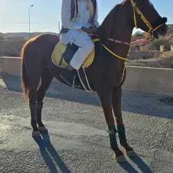 Hiking Trails of Wadi Al Layl - Wadi Al Layl