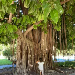Atatürk Park - Adana