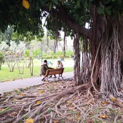 Atatürk Park - Adana