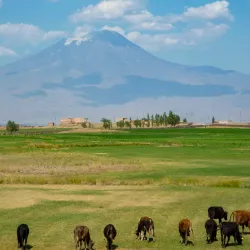 Mount Ararat Viewpoints - Agri