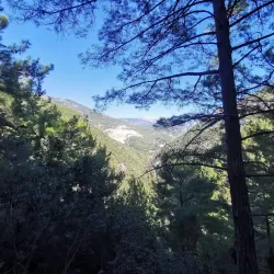 Dim Cave (Dim Mağarası) - Alanya